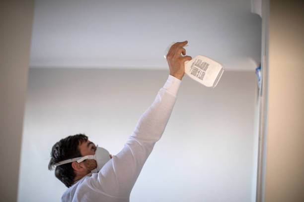 Best Mold Removal Company Near Me  in Spanish Fork, UT
