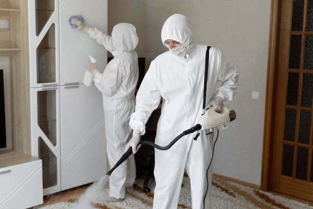 Attic Mold Removal in Spanish Fork, UT